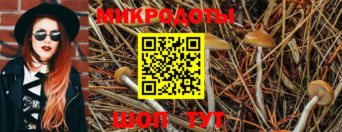 Псилоцибиновые грибы Psilocybine cubensis  Вход с VPN  Челябинск 