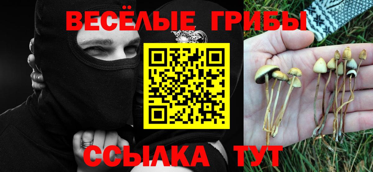 Галлюциногенные грибы Psilocybe Челябинск